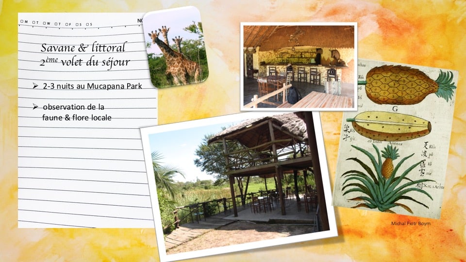 Carnet de voyage au Mozambique