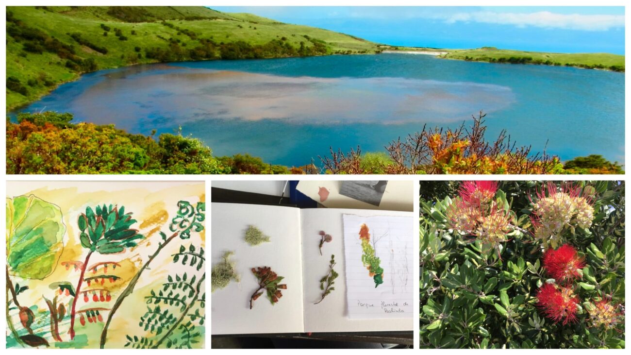 Stage carnet de voyage aux Açores