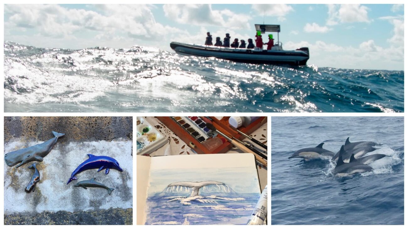 Stage carnet de voyage aux Açores