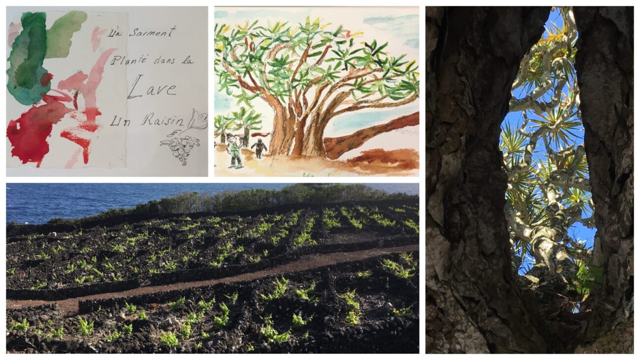 Stage carnet de voyage aux Açores