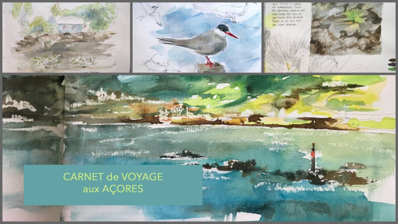 Stage Carnet de voyage aux Açores