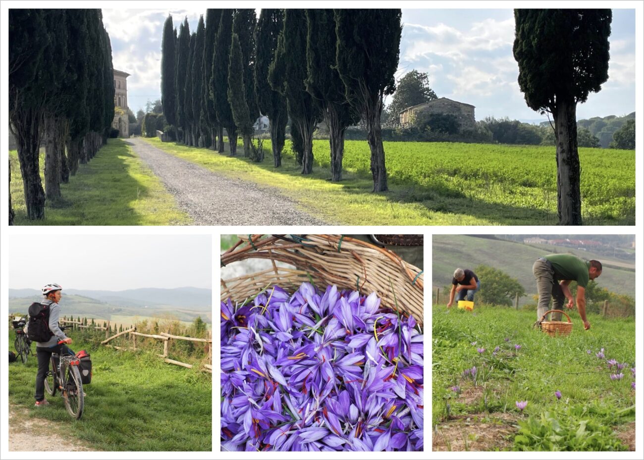 Stage carnet de voyage en Toscane