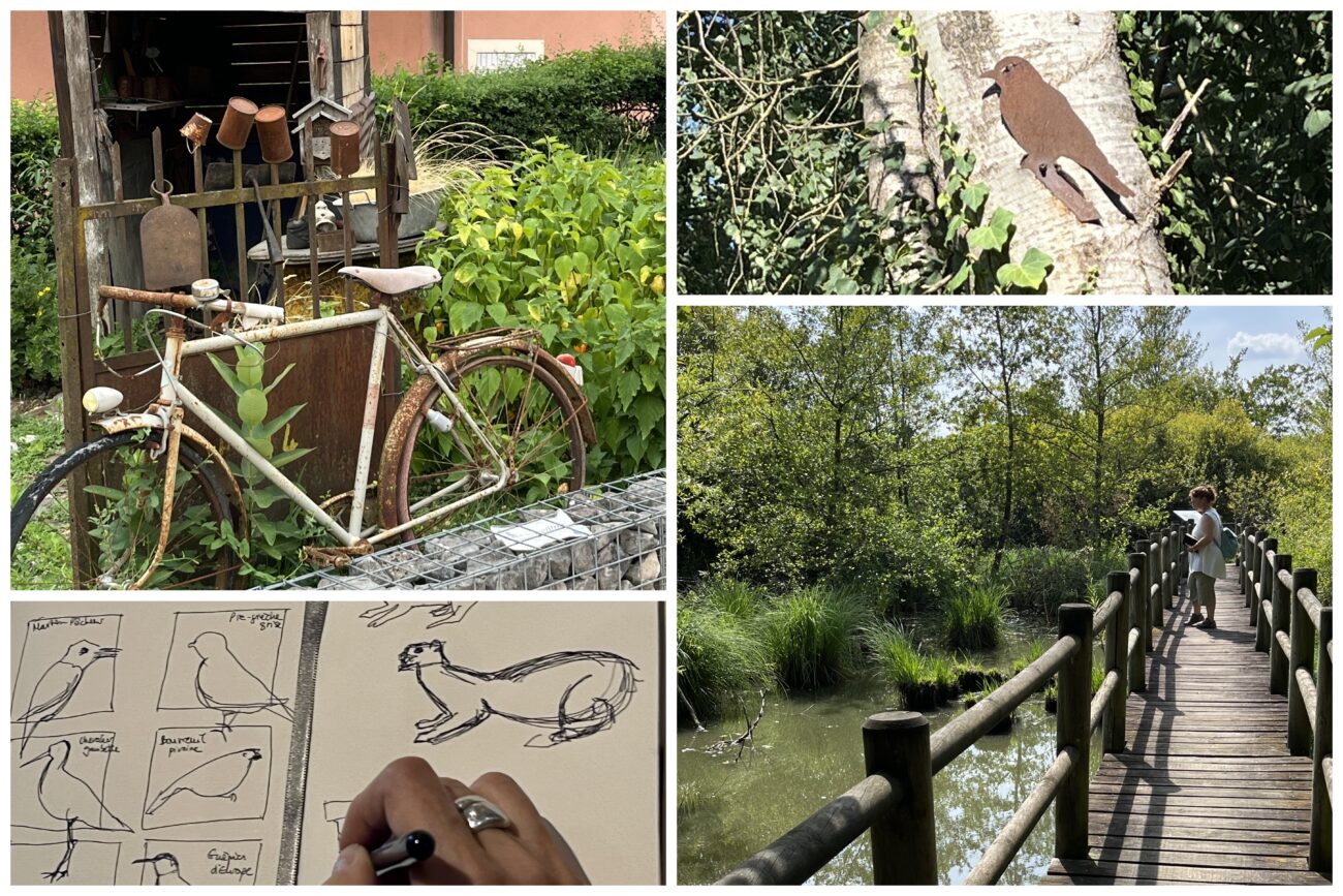 Stage carnet de voyage en Bourgogne du Sud