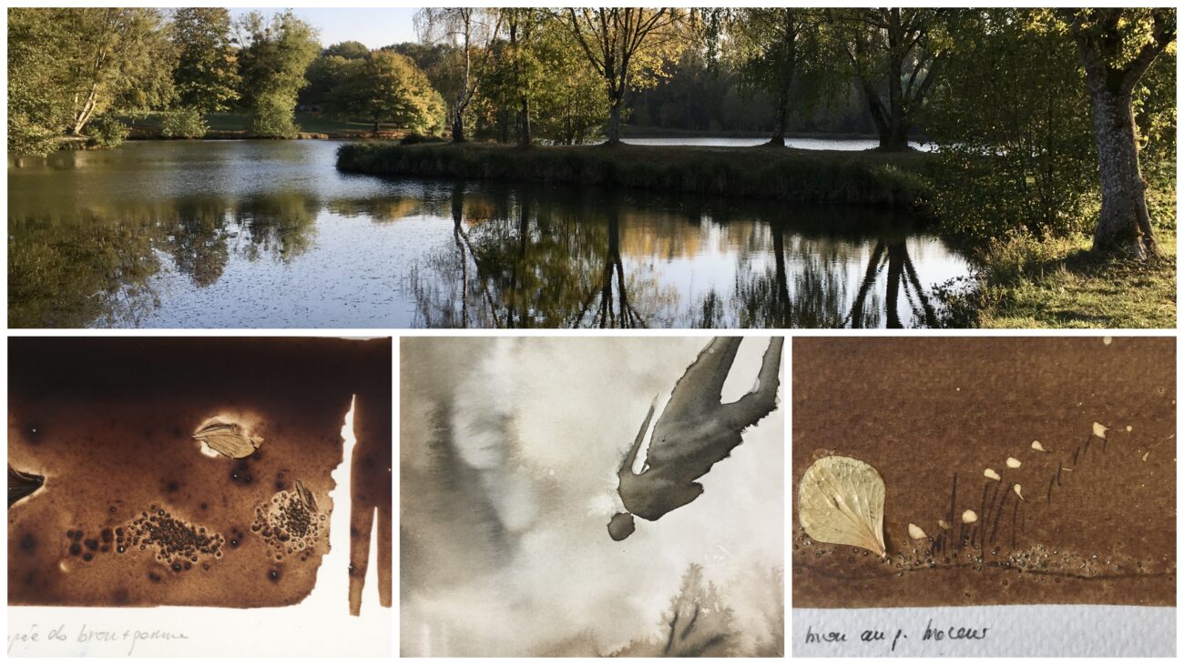 Stage  » Texture, nature & brou de noix »