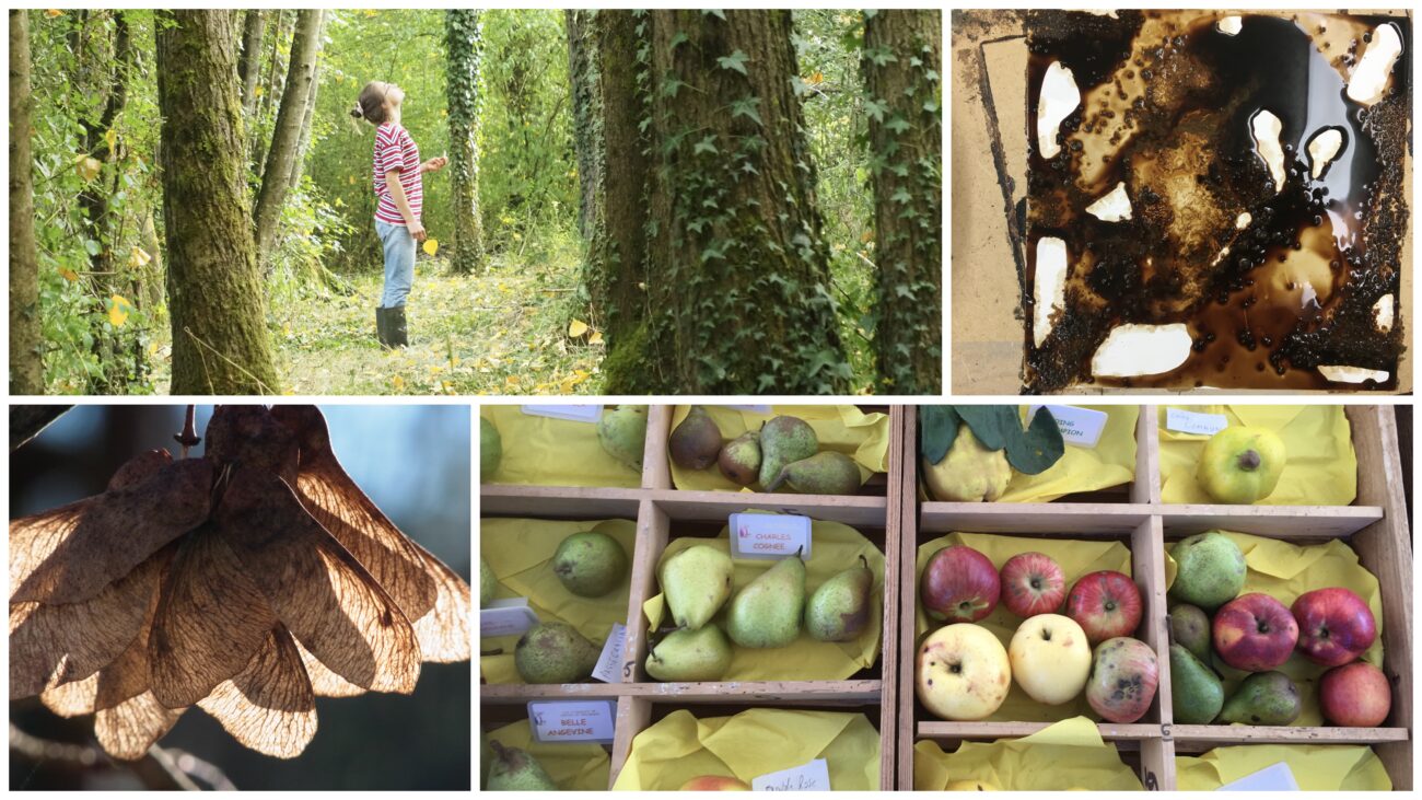 Stage  » Texture, nature & brou de noix »