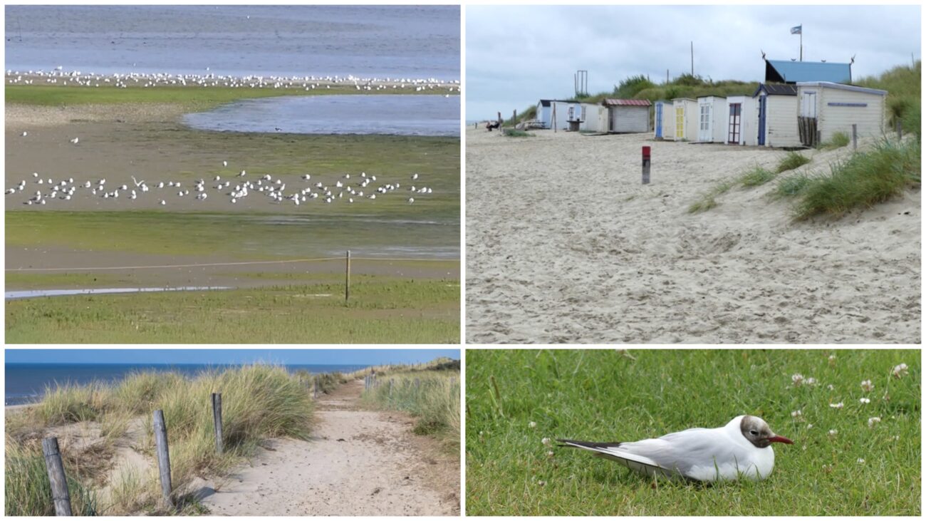 Stage « carnet&vélo à Texel »