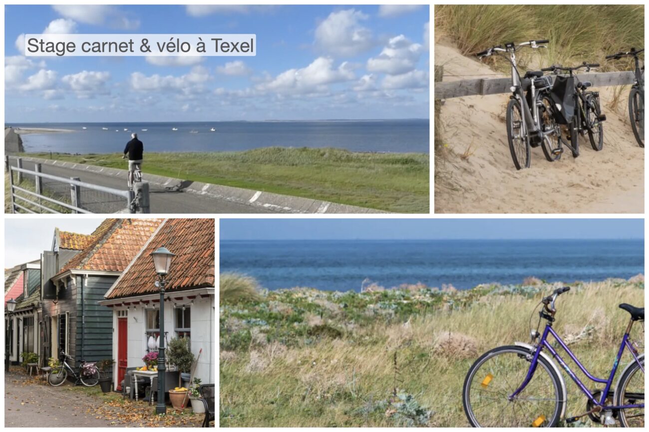 Stage « carnet&vélo à Texel »